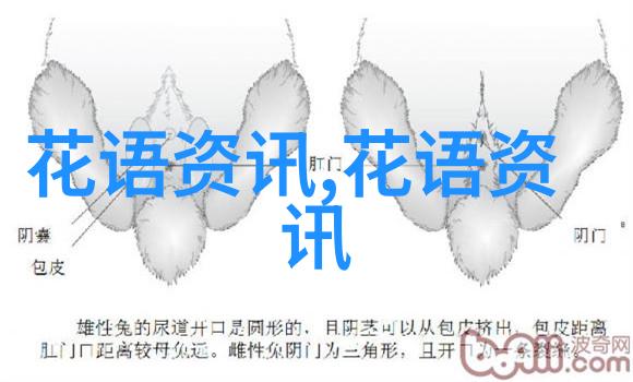 2023年情人节国际送花需知